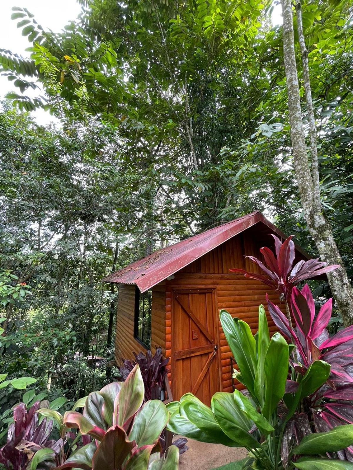 Arenal Rustic Lodge La Fortuna Exterior photo