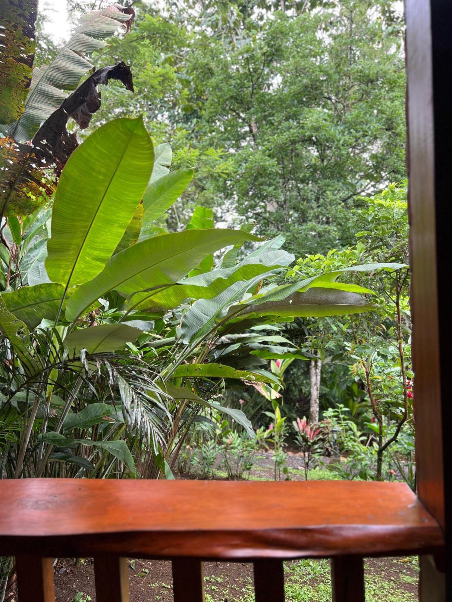 Arenal Rustic Lodge La Fortuna Exterior photo