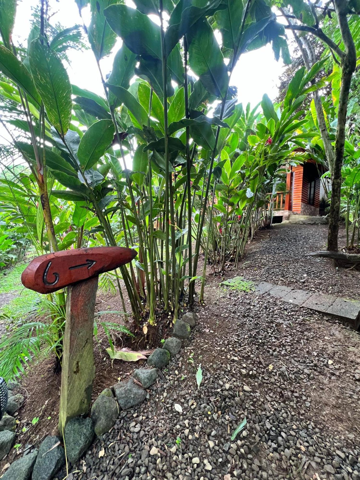 Arenal Rustic Lodge La Fortuna Exterior photo