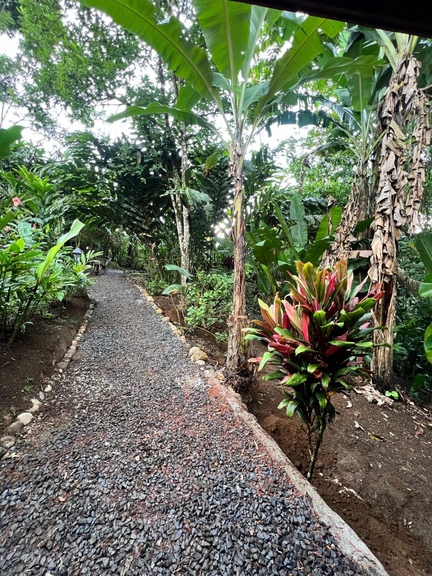 Arenal Rustic Lodge La Fortuna Exterior photo