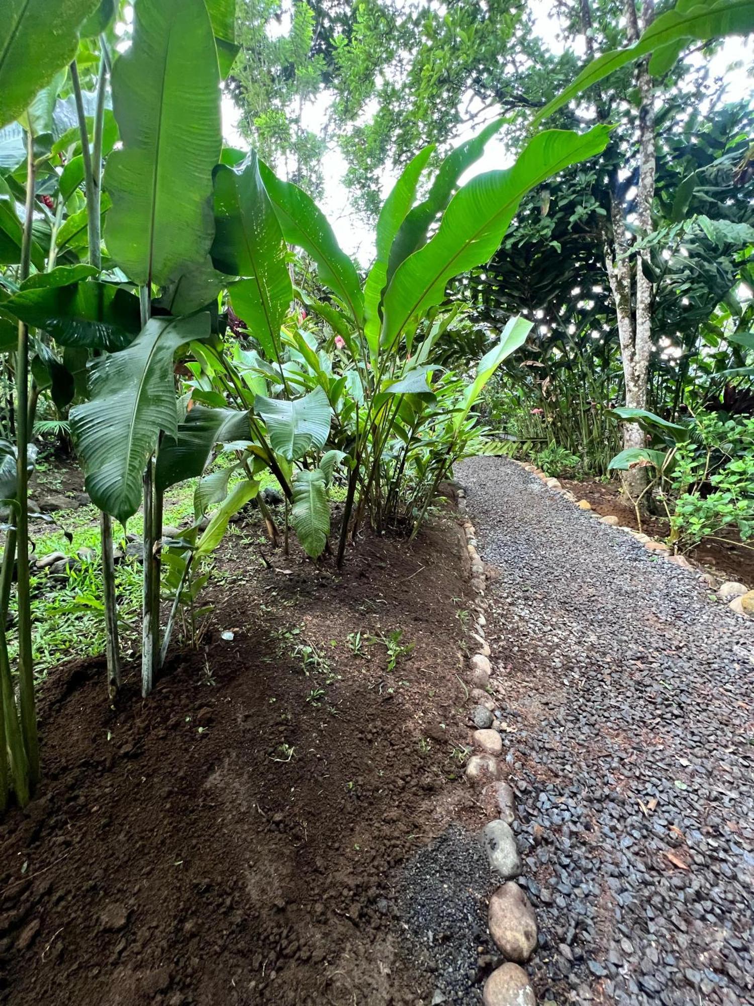 Arenal Rustic Lodge La Fortuna Exterior photo